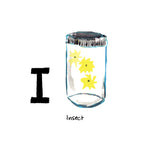 I is for Insect. Catching fireflies is a perfect activity for the hot and humid South Carolina nights. 