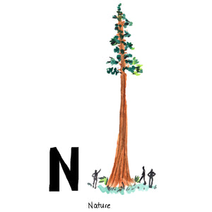 N is for Nature. The redwood is California’s state tree. The largest living tree is in the Sequoia National Park with a trunk measuring 102 feet around. Some are recorded to be over 2,000 years old.