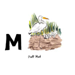 M is for Pluff Mud. Pluff mud is the home for some of our delicious seafood such as crabs, oysters and shrimp, and many rich local culinary delights are named after it. 