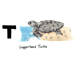 T is for Loggerhead Turtle. This endangered species was named the state reptile in 1988 after the approved request of a fifth grade class. Coastal residents take their protection very seriously by keeping lights off at night so not to confuse the newly hatched baby turtles with the moon which directs them towards the ocean.